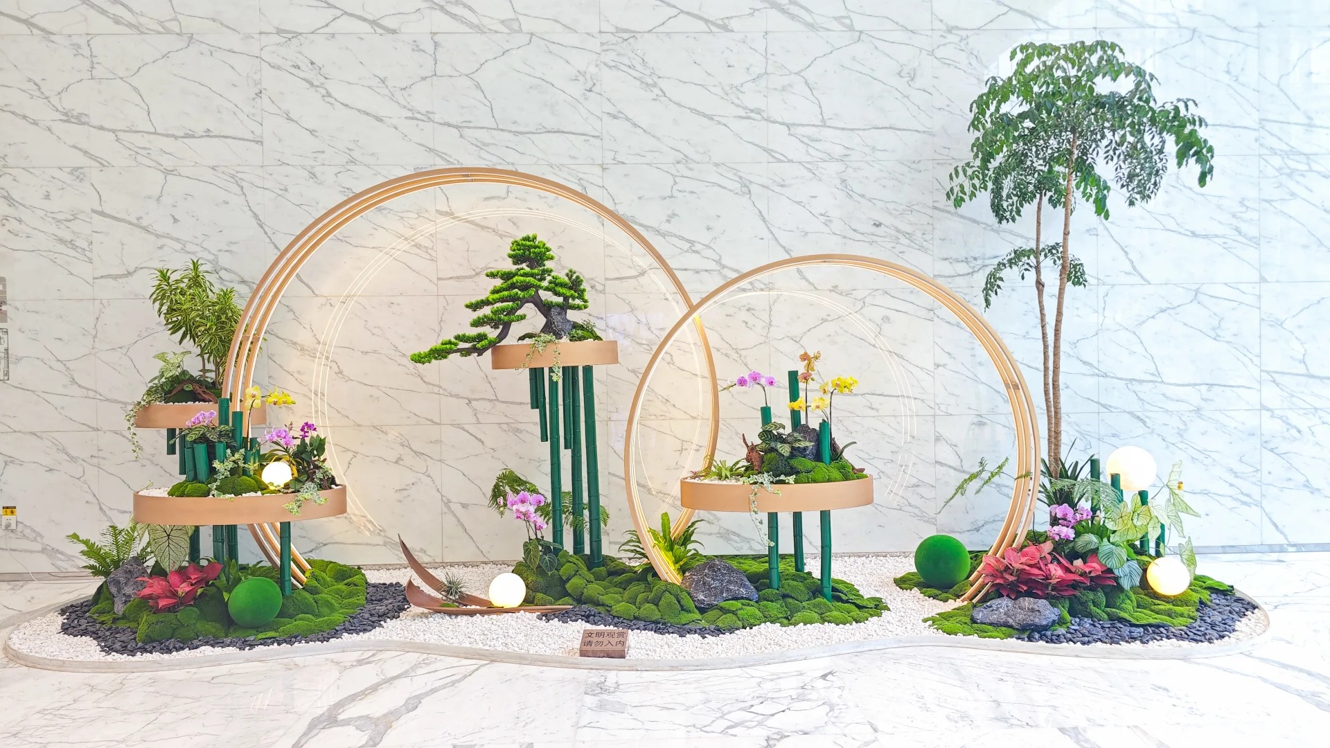 宁波鄞州绿植出租价格实惠 宁波鄞州绿植出租价格实惠